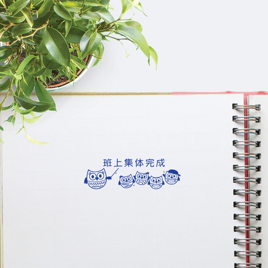 Wise Owlies Stamp : Completed Together In Class [cl]